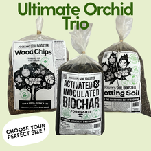 Load image into Gallery viewer, The Ultimate Orchid Trio