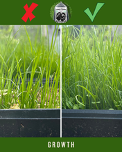 Load image into Gallery viewer, 'Lawn Lover' Regenerative Lawn Care (Worm Manure + Cricket Frass)