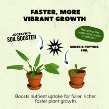 Load image into Gallery viewer, Starter Grow Kit - Worm Manure, Potting Soil & Woodchips - Indoor/Outdoor Plants