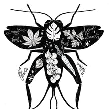 Load image into Gallery viewer, 'Lawn Lover' Regenerative Lawn Care (Worm Manure + Cricket Frass)