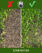 Load image into Gallery viewer, 'Lawn Lover' Regenerative Lawn Care (Worm Manure + Cricket Frass)