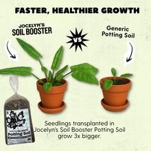 Load image into Gallery viewer, 'Canada's 1st Raw & Regenerative' Potting Soil (Peat-free Living Soil)