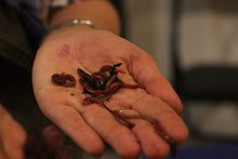 Load image into Gallery viewer, Private Tour & Workshop with Jocelyn