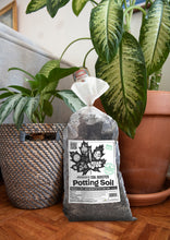 Load image into Gallery viewer, 'Canada's 1st Raw & Regenerative' Potting Soil (Peat-free Living Soil)