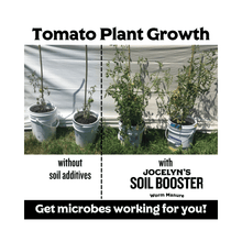 Load image into Gallery viewer, 'Probiotics for Plants' Worm Manure (Worm Castings)