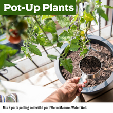 Load image into Gallery viewer, 'Probiotics for Plants' Worm Manure (Worm Castings)