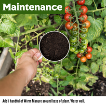 Load image into Gallery viewer, 'Probiotics for Plants' Worm Manure (Worm Castings)