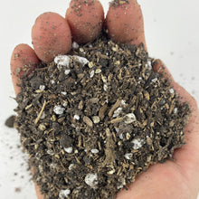 Load image into Gallery viewer, 'Canada's 1st Raw & Regenerative' Potting Soil (Peat-free Living Soil)