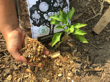 Load image into Gallery viewer, Wood Chips Mulch - 2kg