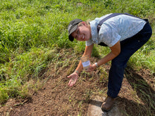 Load image into Gallery viewer, Living Mulch Cover Crop Kit - 1kg