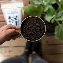 Load image into Gallery viewer, 'Probiotics for Plants' Worm Manure (Worm Castings)