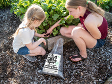 Load image into Gallery viewer, 'Canada's 1st Raw & Regenerative' Potting Soil (Peat-free Living Soil)