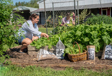 Load image into Gallery viewer, Wood Chips Mulch - 2kg