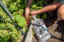 Load image into Gallery viewer, 'Canada's 1st Raw & Regenerative' Potting Soil (Peat-free Living Soil)