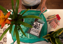 Load image into Gallery viewer, 'Canada's 1st Raw & Regenerative' Potting Soil (Peat-free Living Soil)