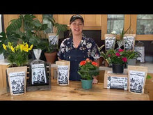 Load and play video in Gallery viewer, 'Probiotics for Plants' Worm Manure (Worm Castings)