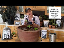 Load and play video in Gallery viewer, 'Probiotics for Plants' Worm Manure (Worm Castings)