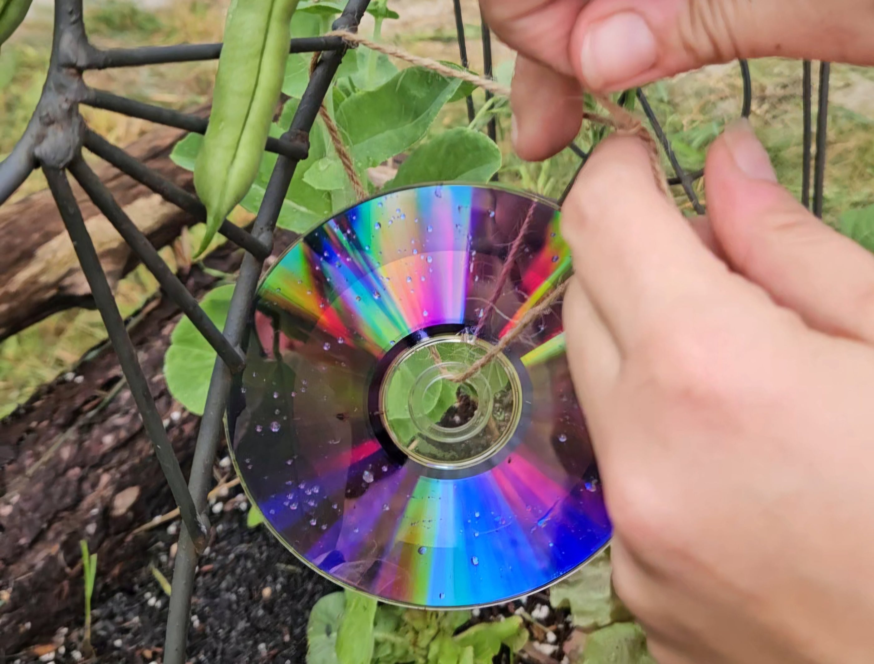 Save Your Harvest!