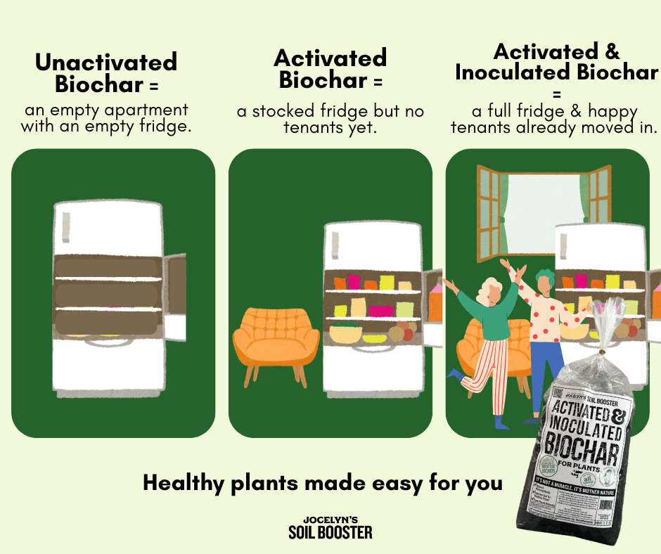 What's the Big Deal with Biochar?