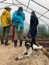 people in drying house with poodle on ground