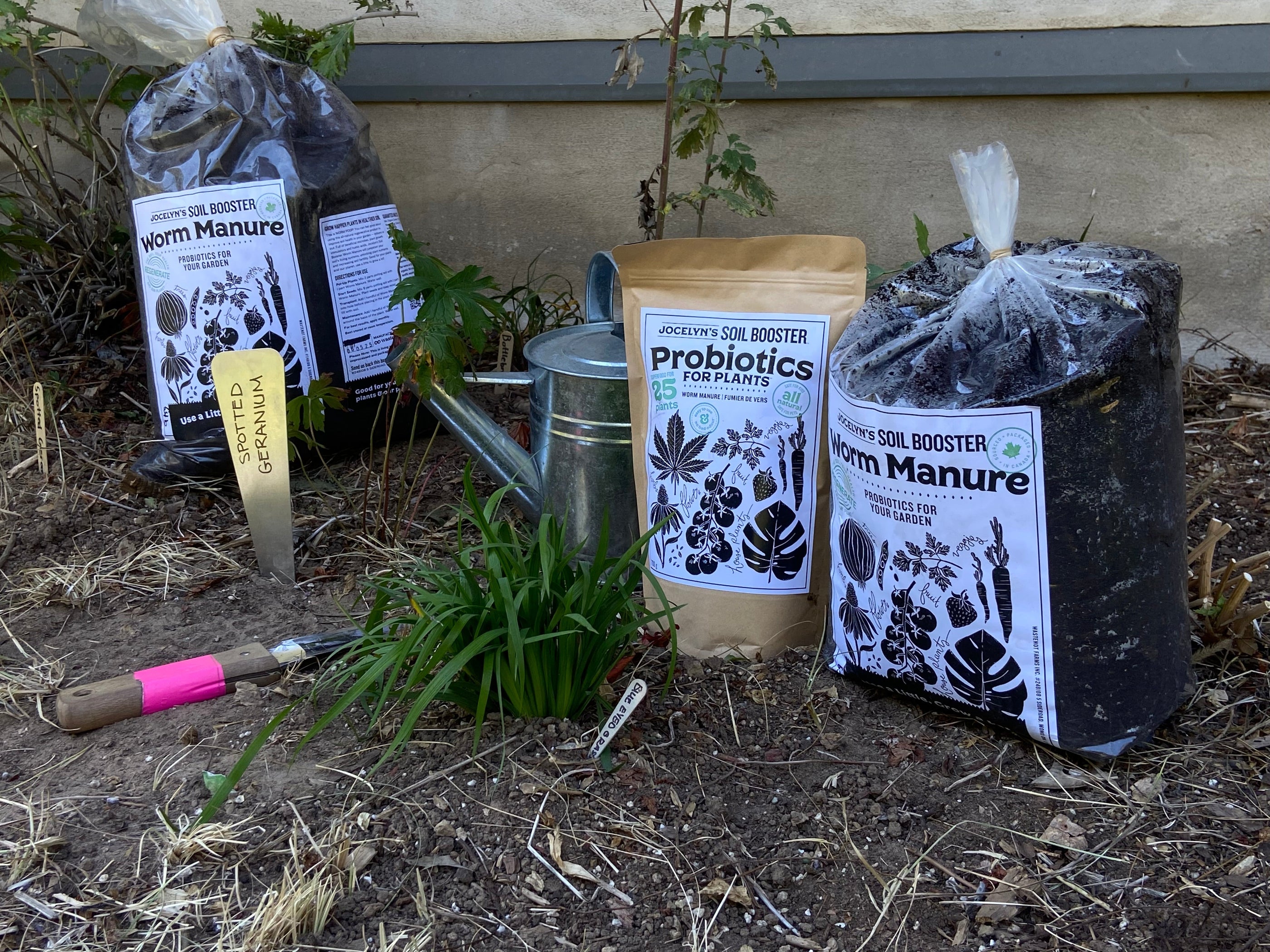 Fall: A Season of New beginnings