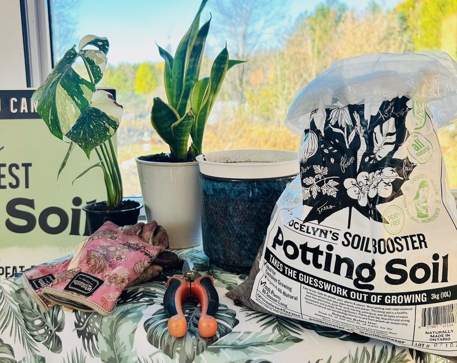 Fall Self-Care: Tending to Me & My Plants