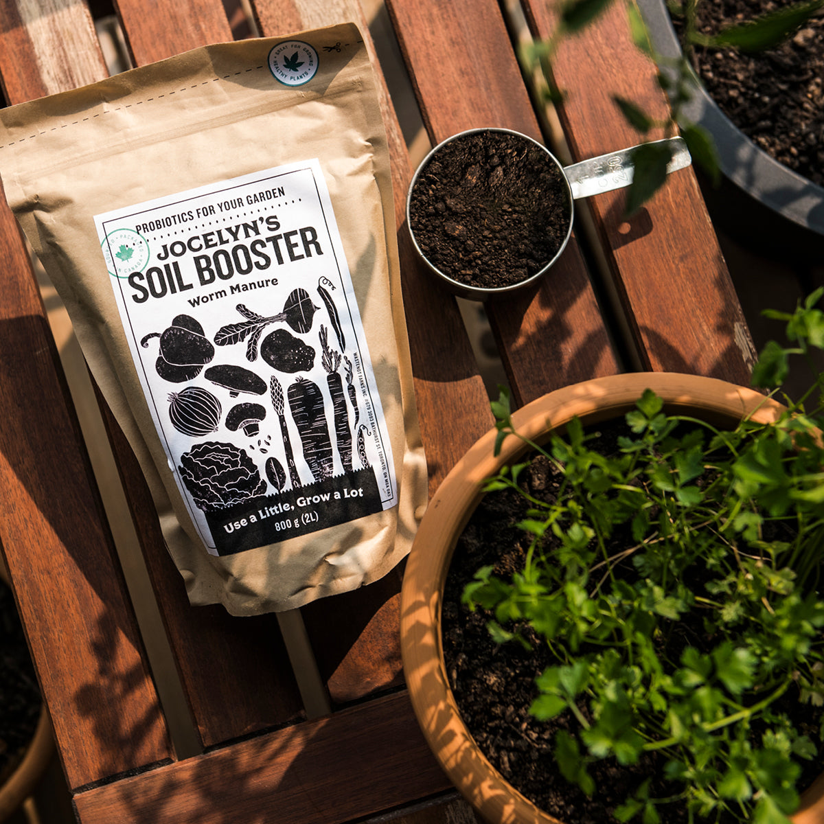 How to Get Microbes Working for You: Revive Dead Dirt