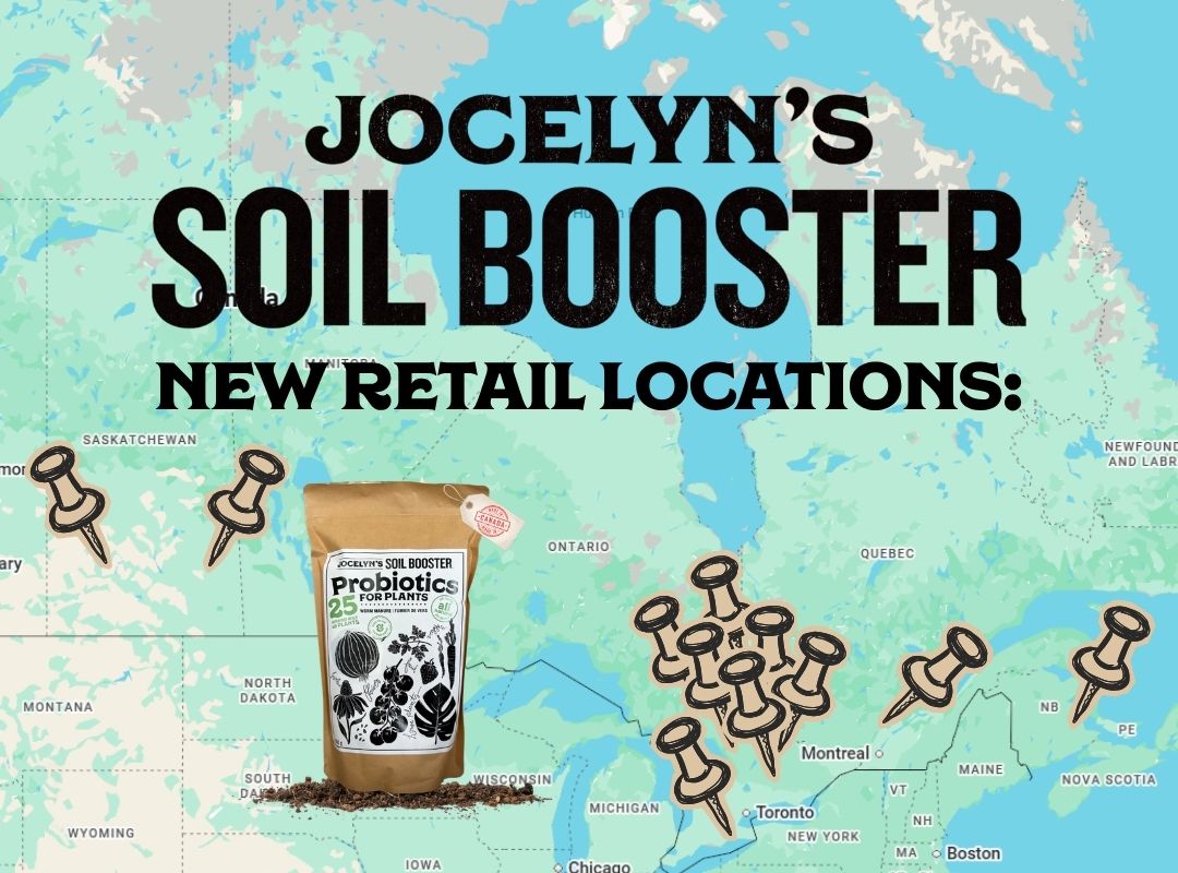 More Options to Shop Local