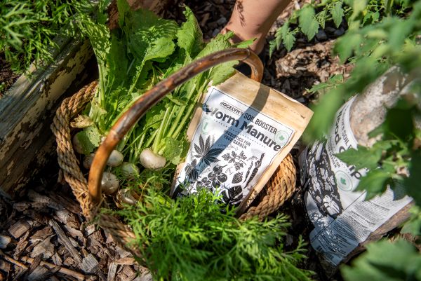 Grow Your Garden Through Fall