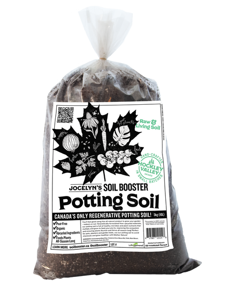 Picking a Perfect Potting Soil