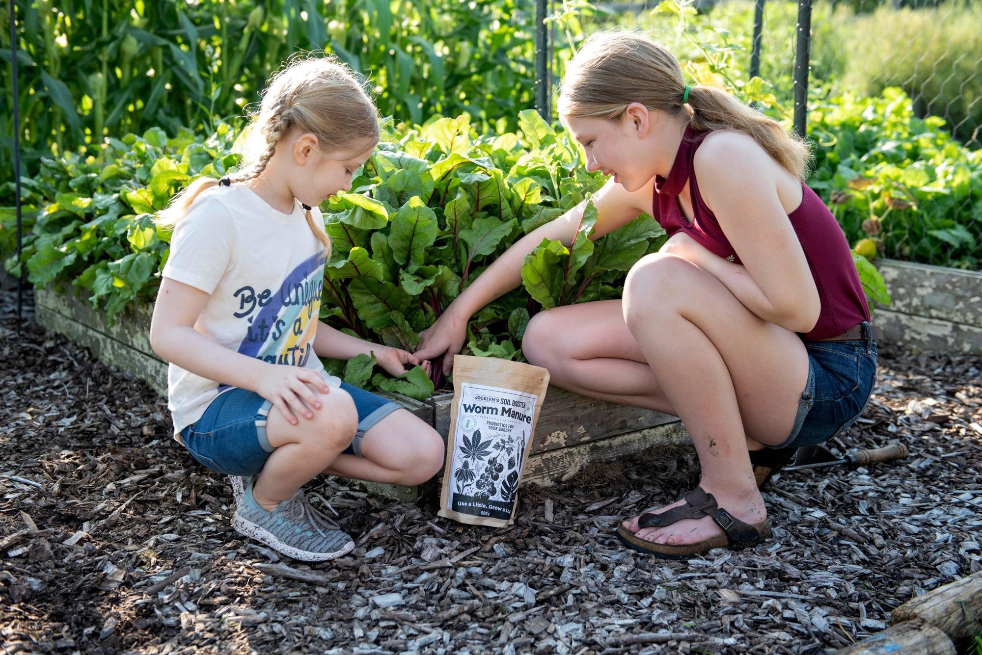 No Dragons Needed: Female-Led Canadian Business Raises $500K from Canadians Invested in Regeneration