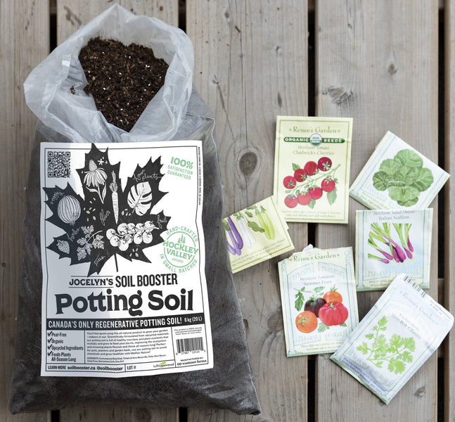 Can I Start Seeds in Potting Soil?