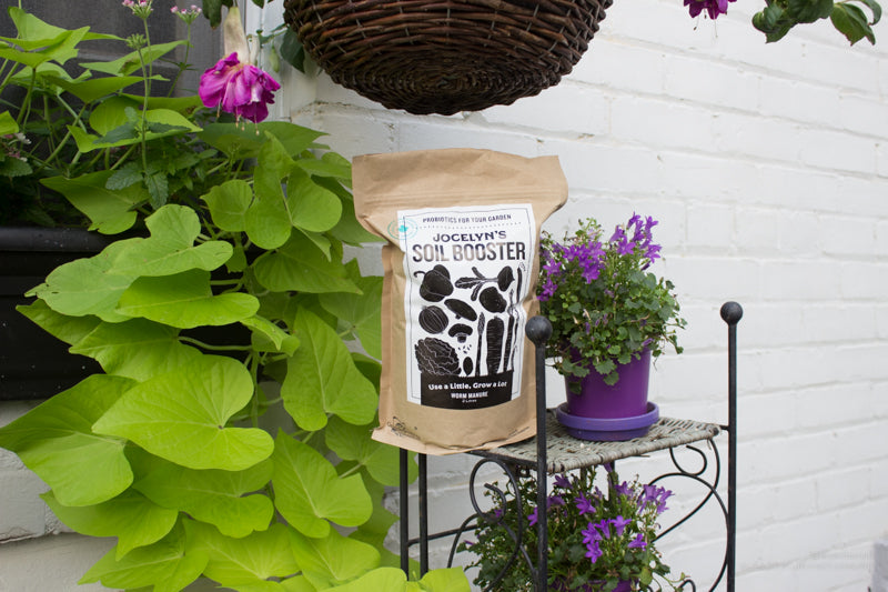 Worm manure near plants on porch 