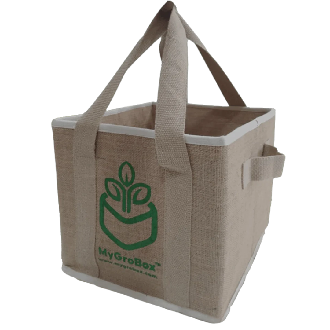 Introducing MyGroBox & Founder Corina Ottnad