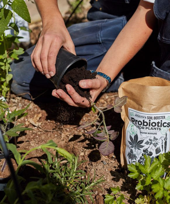 Worm Manure: 3 Easy Ways
