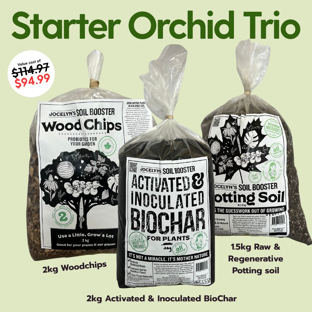 The Ultimate Orchid Trio