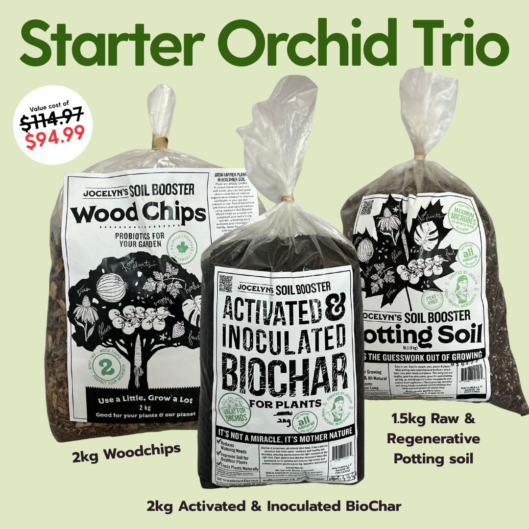 The Ultimate Orchid Trio