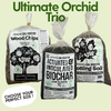 The Ultimate Orchid Trio