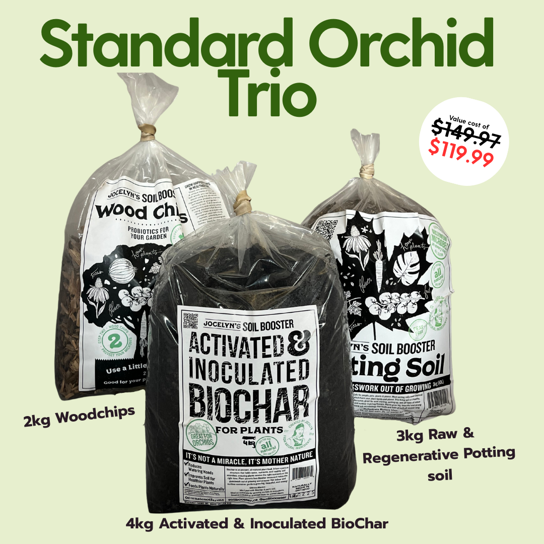 The Ultimate Orchid Trio