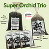 The Ultimate Orchid Trio