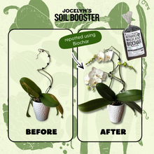 Load image into Gallery viewer, Biochar: Activated &amp; Inoculated
