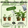 'Probiotics for Plants' Worm Manure (Worm Castings)