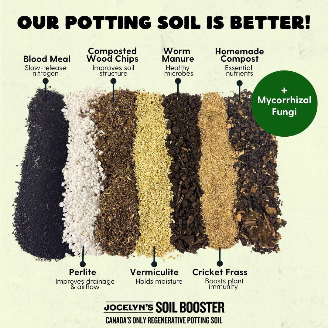 Canada's 1st Raw & Regenerative' Potting Soil (Peat-free Living