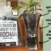 Biochar: Activated & Inoculated