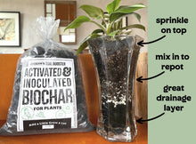 Load image into Gallery viewer, Biochar: Activated &amp; Inoculated
