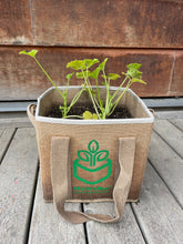 Load image into Gallery viewer, MyGroBox Planter
