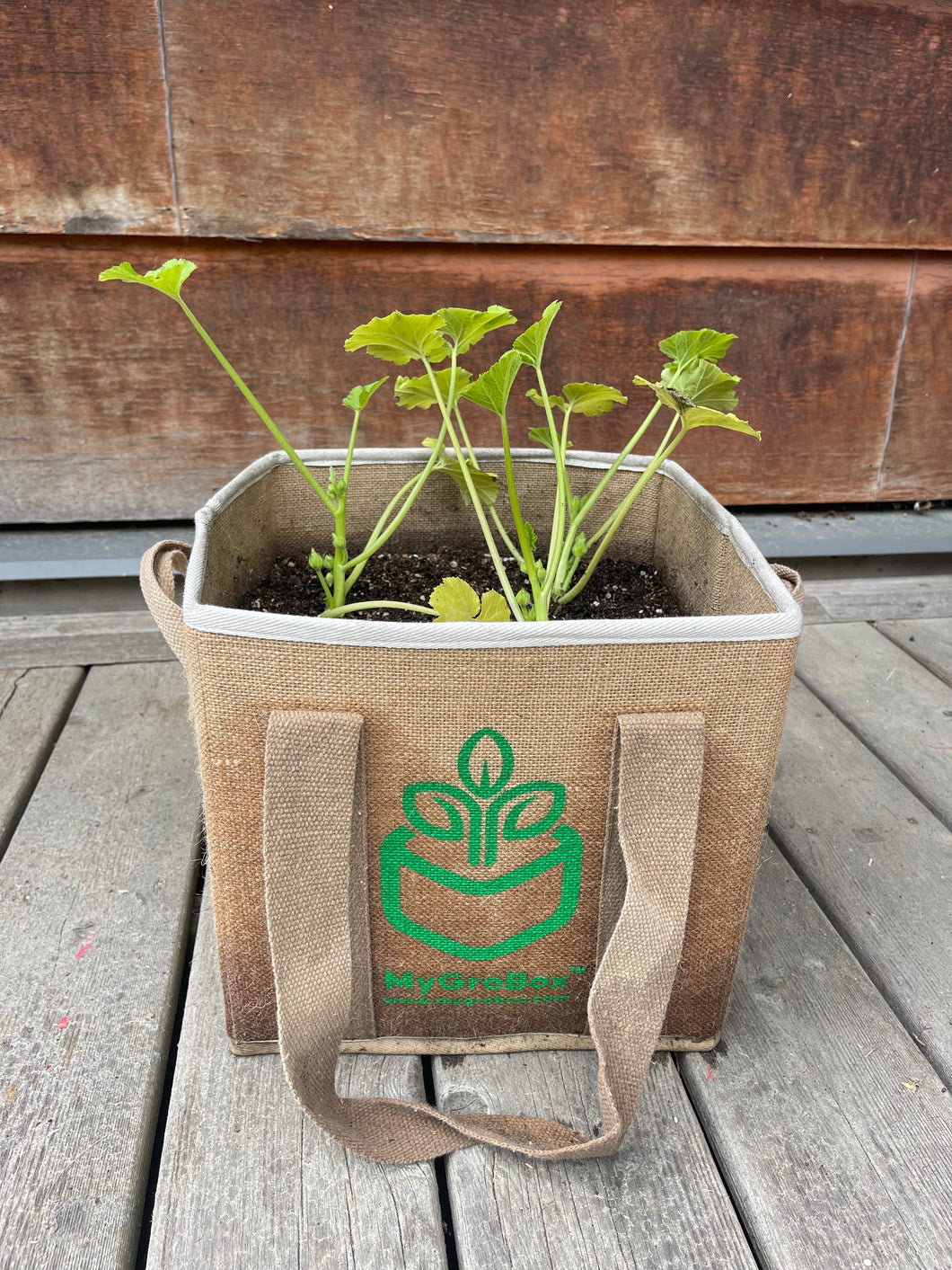 MyGroBox Planter