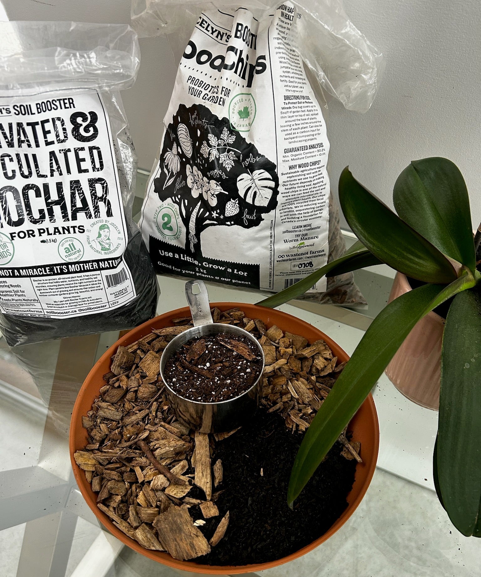 詩「糧」 The Ultimate Orchid Trio – Jocelyn's Soil Booster