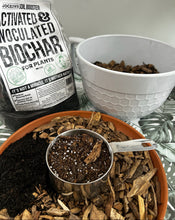 Load image into Gallery viewer, The Ultimate Orchid Trio
