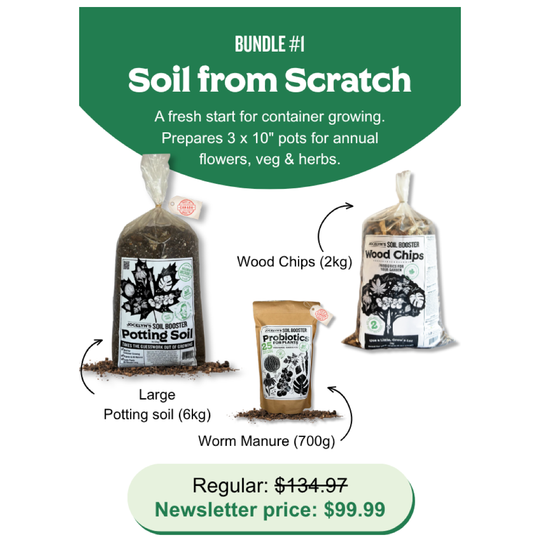 Newsletter Bundle #1: Soil from Scratch